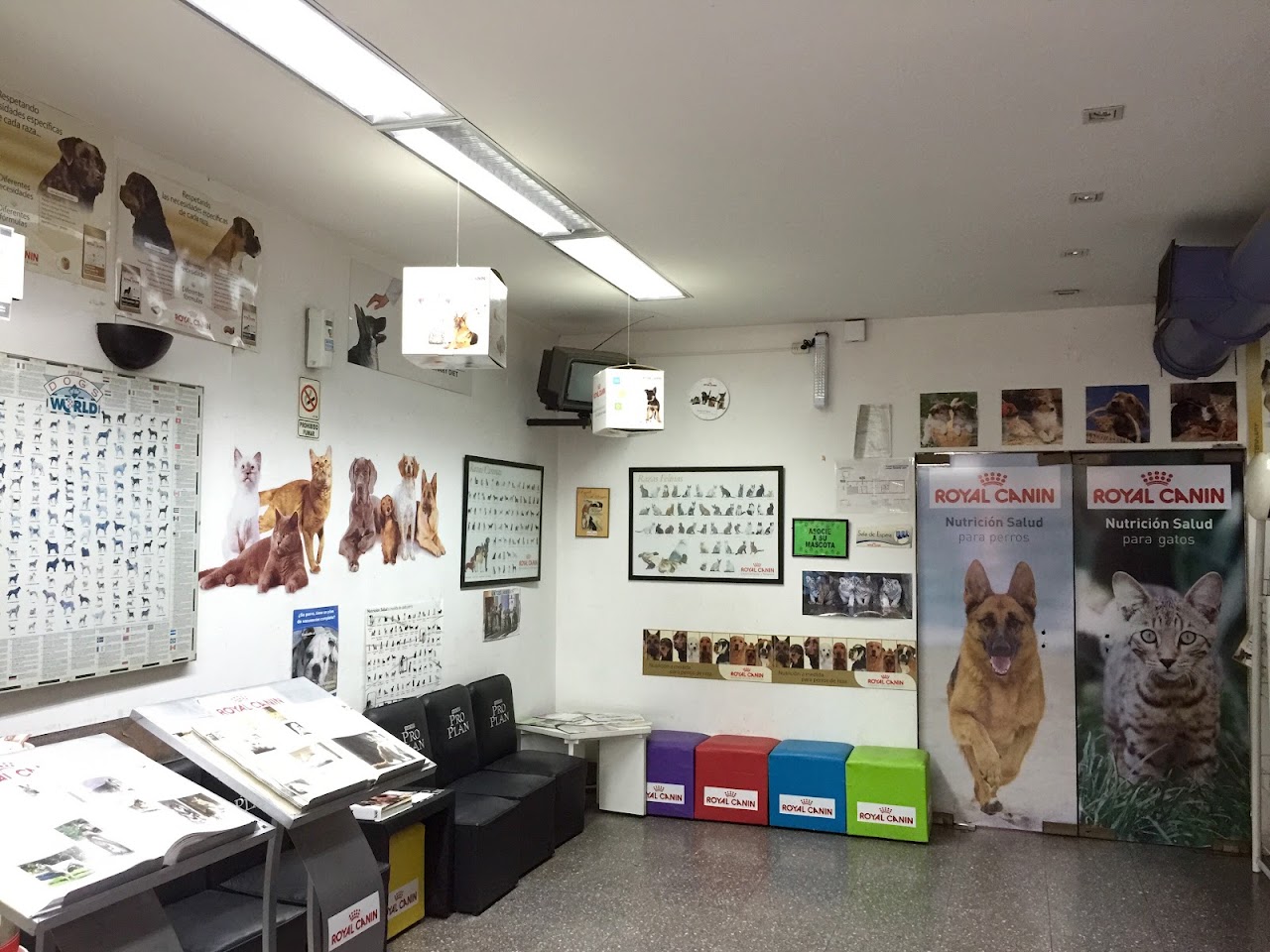 Sala de espera de Veterinaria AMVet en Villa Urquiza